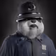 CopperPanda