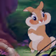 jugsbunny