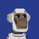 SARICC_
