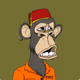 Jackaloofa
