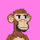 WarpspeedSheik
