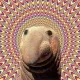 NFT_Noobz