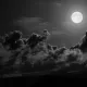 0x9a938064c4d370a03b5a5509156c3586af700e24