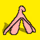 8Clit