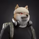 CCNCWB