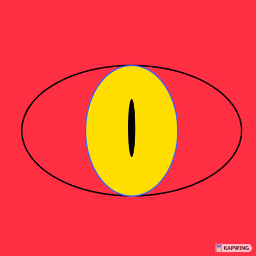 OpenSea profile picture for @SOUKAINA