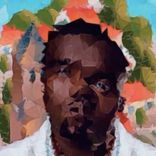 OpenSea profile picture for @Davidson