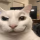 powpowq