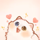 Chrysanthemum_v