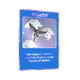 Pigeon01
