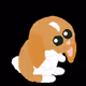 punctdan
