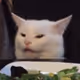 WtfCatman123