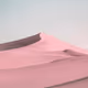 NSWARM