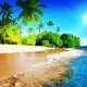 Mobin_Ghafouriyan