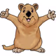 quokkadoodle