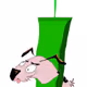 DevilDog_Crypto