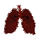 OpenSea profile picture for @Potassium