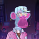 Professorrealms