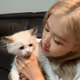 rosé.eth