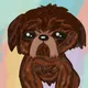 MillionairePuppyClub
