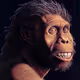 Cryptosapiens