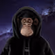 GalaxyApe