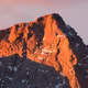 NFTO88