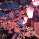 xiangmei1997