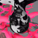 Renderfruit_Vault