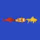 FishMinter