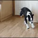 drunkman