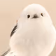 s-mincyan