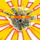 0x9cdc6a0e95eea7a2bf4e88fce2ed53db8a71ef6a