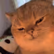 0x9ce47b05bfafa8a5104a071505ce8de90e05fe36