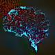 Neural_networks_art