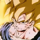 gokuz
