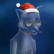Richfoxvek