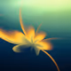 0x9d7019e63e5cb0cbd2602166587fabdb0f0b527b