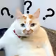 JohnXiao