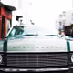 rabbitwolf65blond