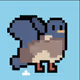 poopypigeons