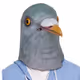 cyberpigeon