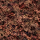 The_dead