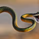 Doretta1092824