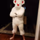 Mooterz