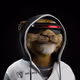 PIKI01