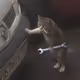 0x9dfdfab3dba44b714f3e74a83027370aae7557d7