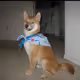 0x9e1b0d6f231c4ce7c279