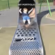 Into-the-Future