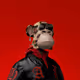 RarestNFTCollector
